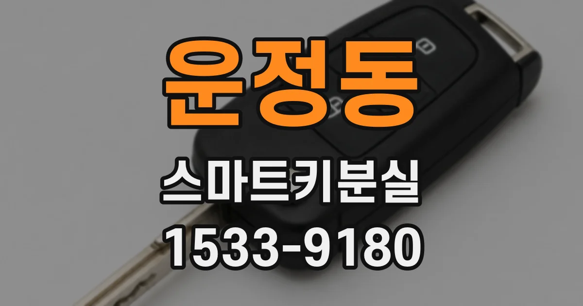 운정동 스마트키분실