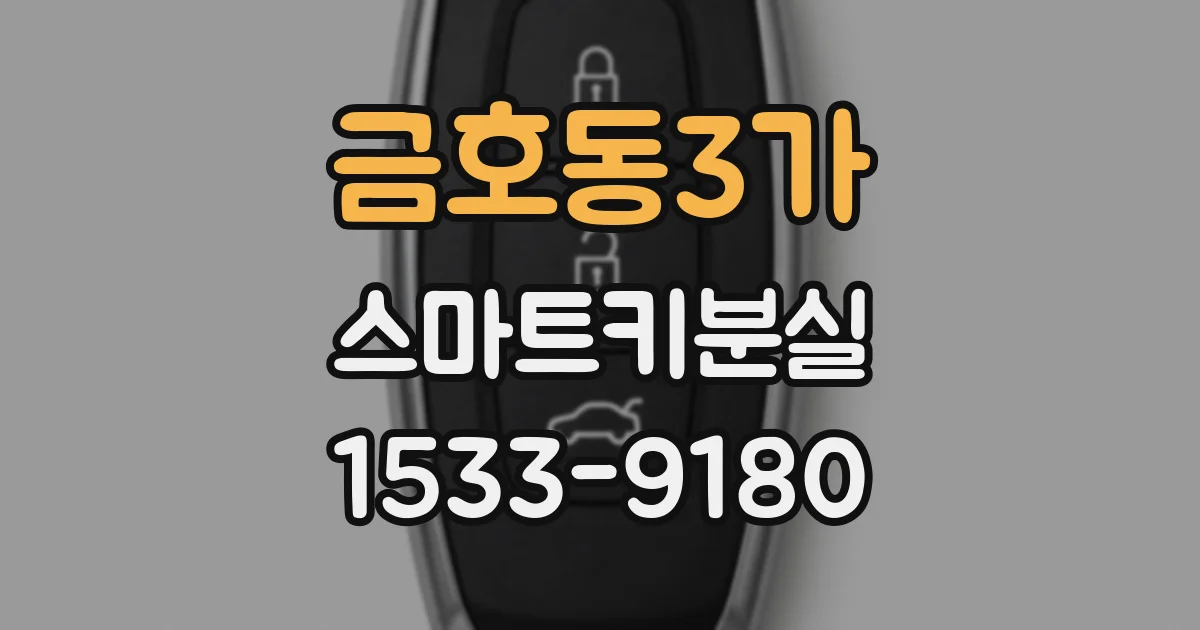 금호동3가 스마트키분실
