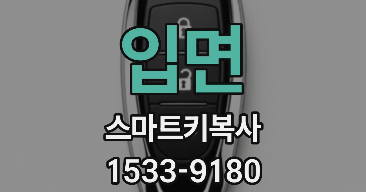 입면 스마트키복사