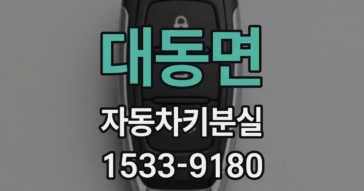 대동면 자동차키분실
