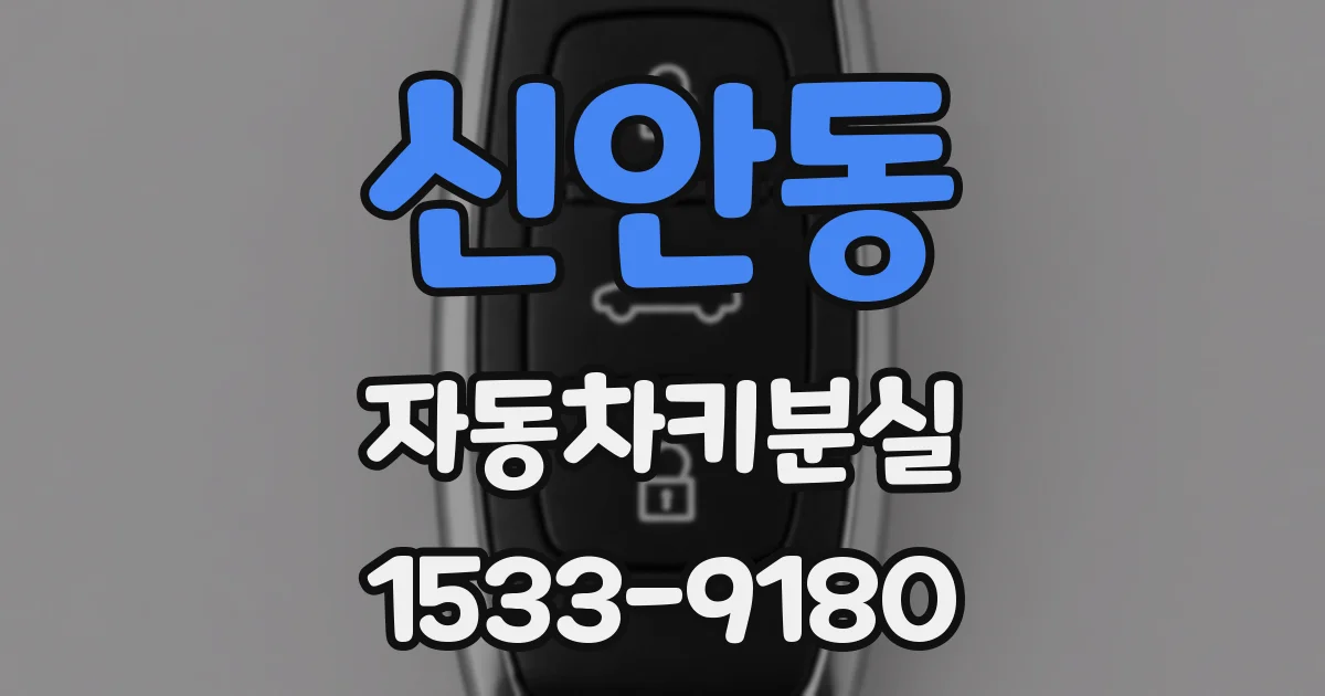 신안동 자동차키분실