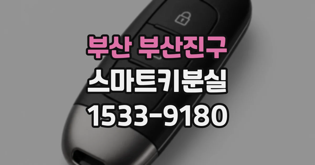 부산 부산진구 스마트키분실
