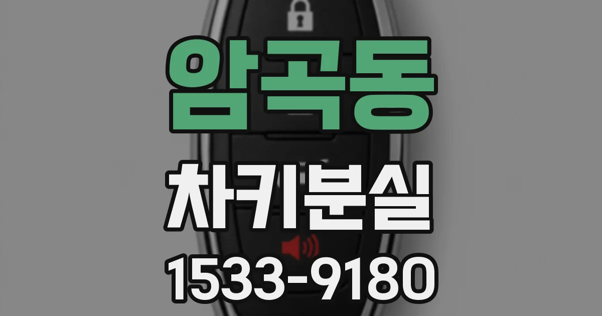암곡동 차키분실