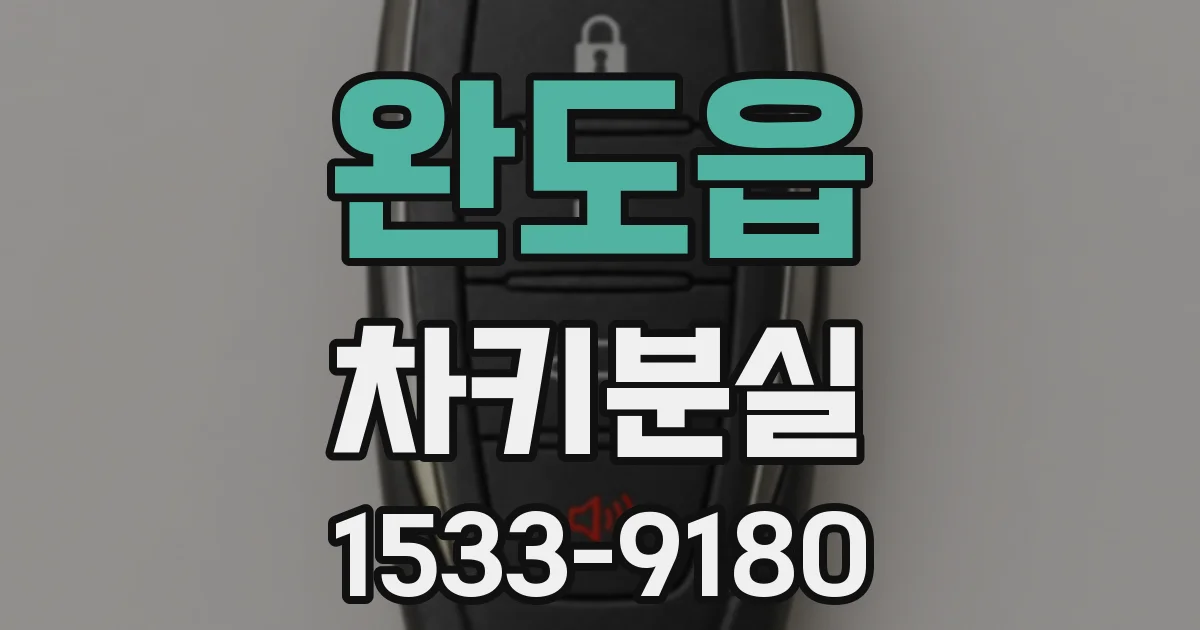 완도읍 차키분실