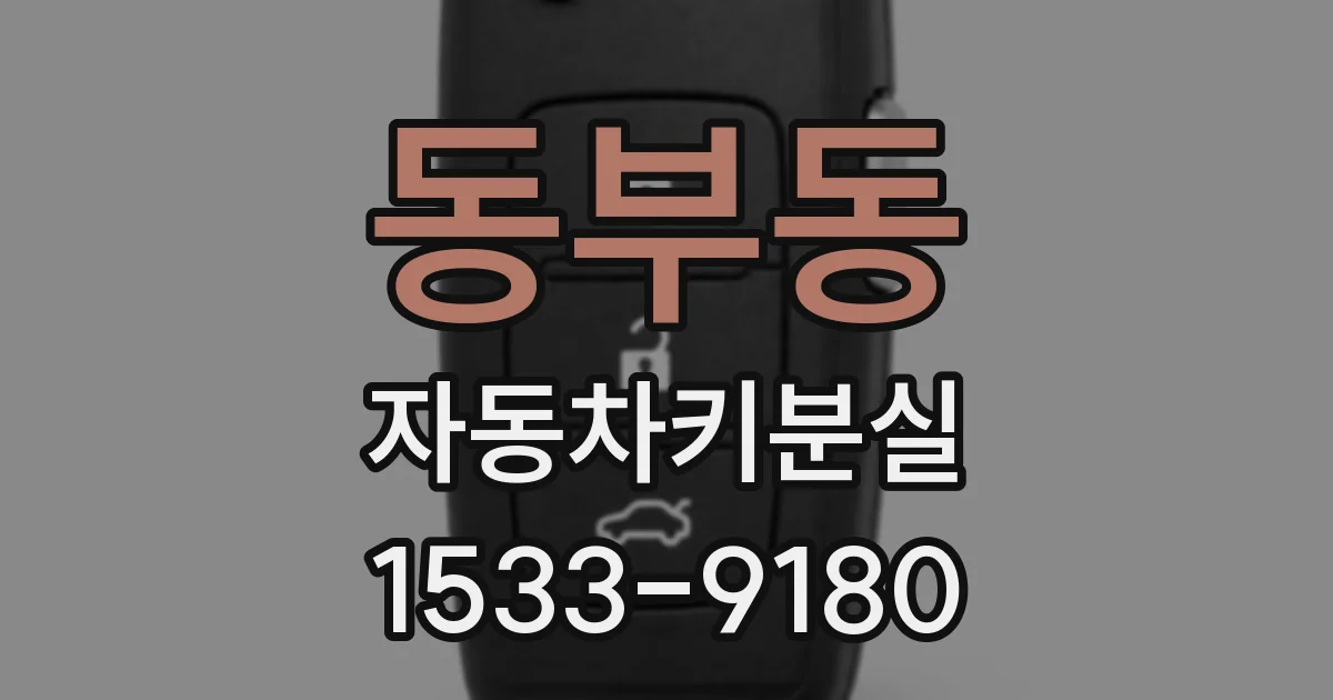동부동 자동차키분실