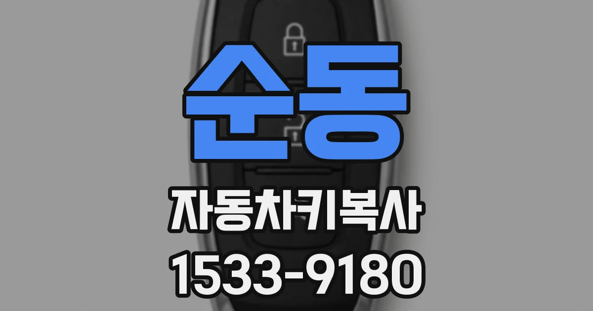 순동 자동차키복사