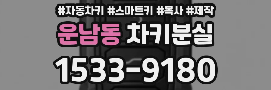 운남동 차키분실
