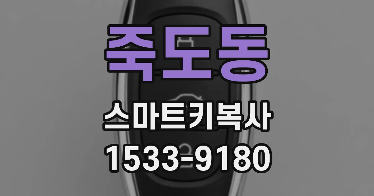 죽도동 스마트키복사