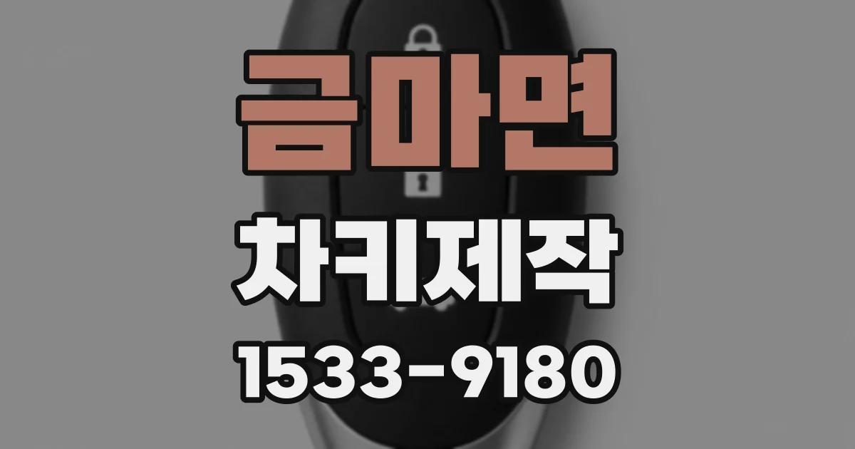 금마면 차키제작