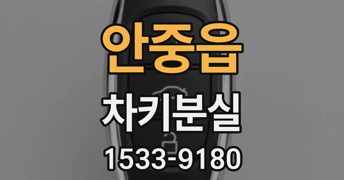 안중읍 차키분실
