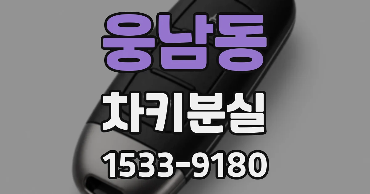웅남동 차키분실