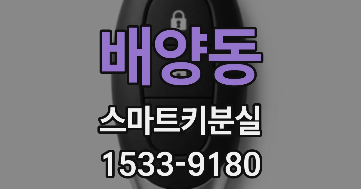 배양동 스마트키분실