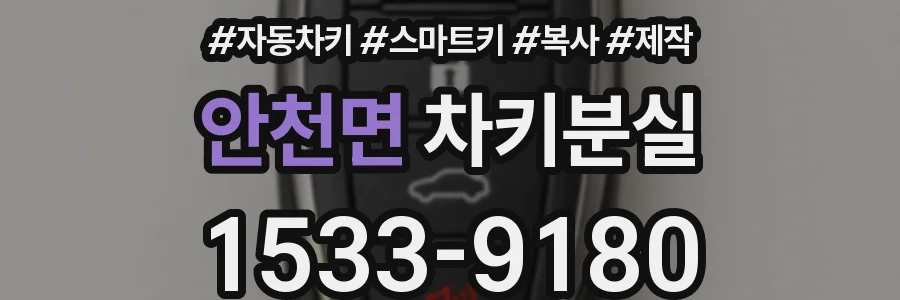 안천면 차키분실