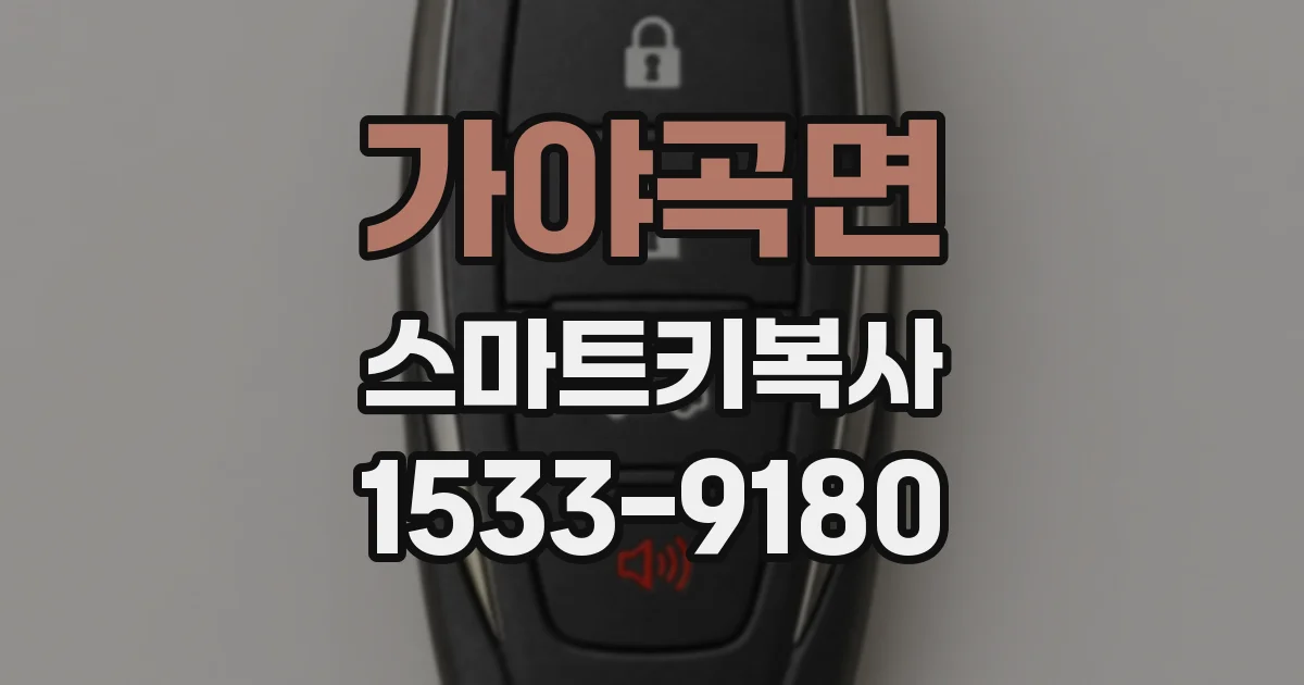 가야곡면 스마트키복사