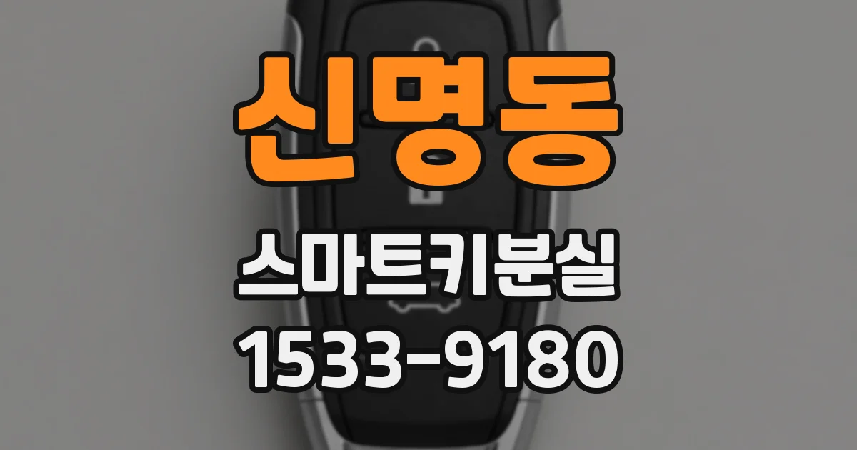 신명동 스마트키분실