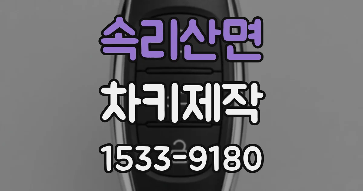 속리산면 차키제작