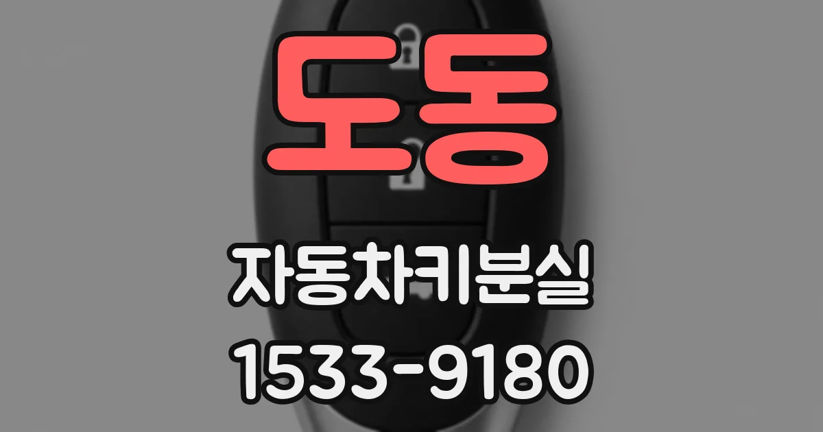 도동 자동차키분실