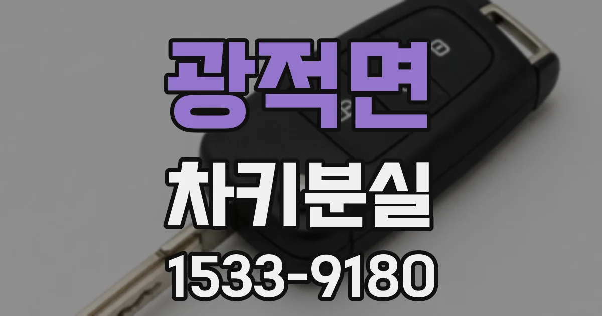 광적면 차키분실