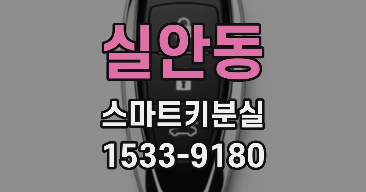 실안동 스마트키분실