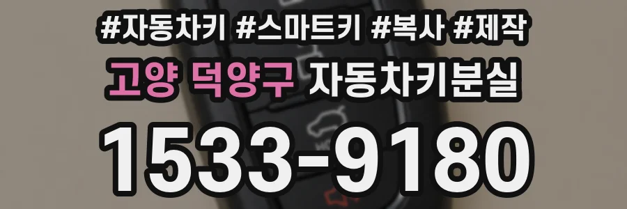 고양 덕양구 자동차키분실