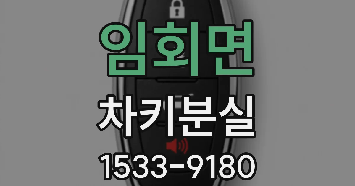 임회면 차키분실