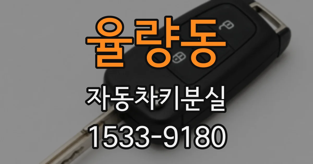 율량동 자동차키분실