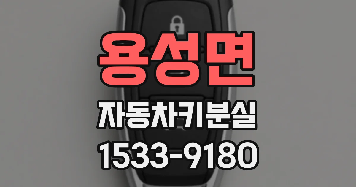 용성면 자동차키분실
