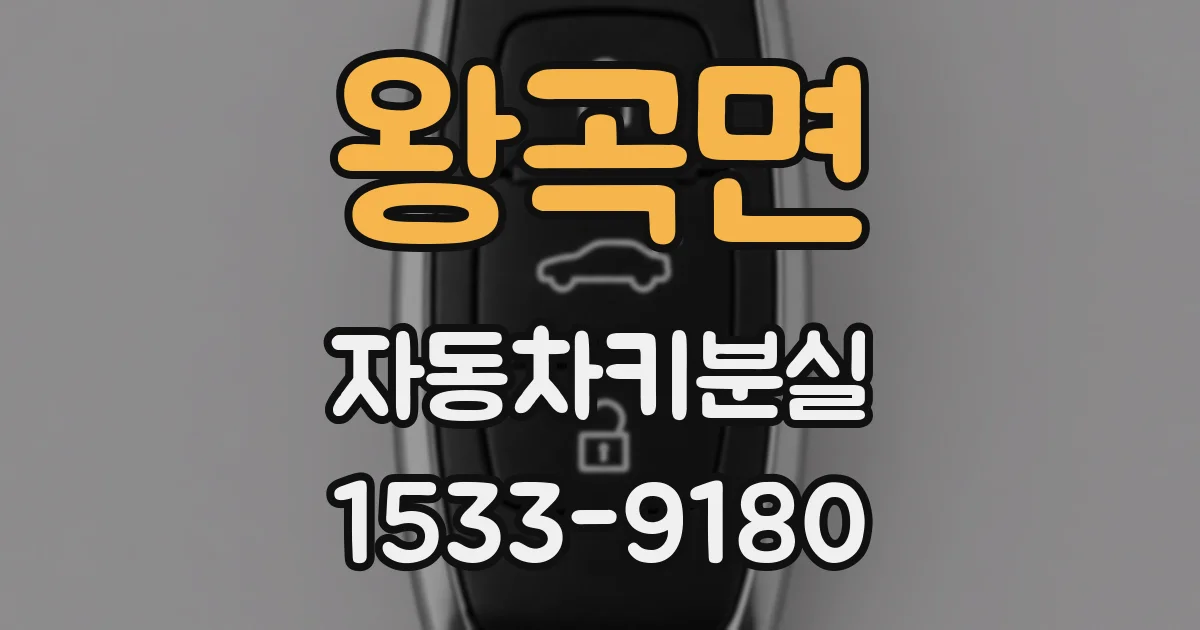 왕곡면 자동차키분실