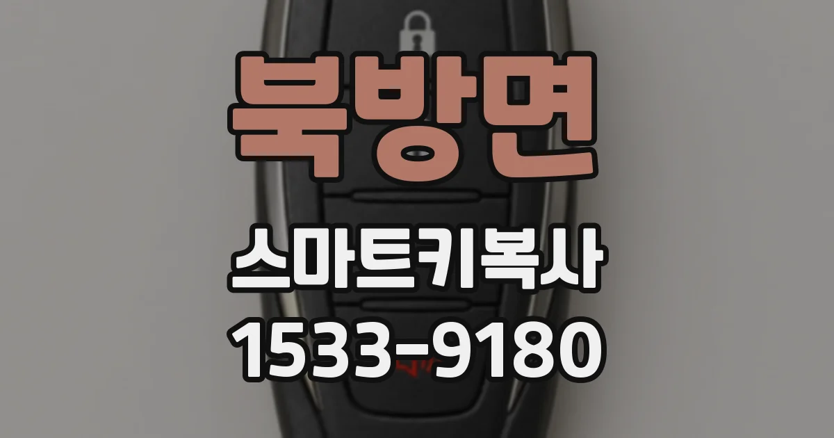 북방면 스마트키복사