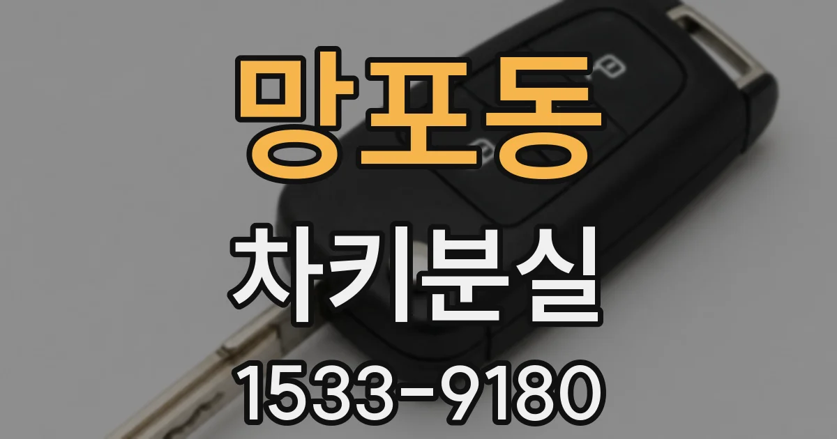 망포동 차키분실