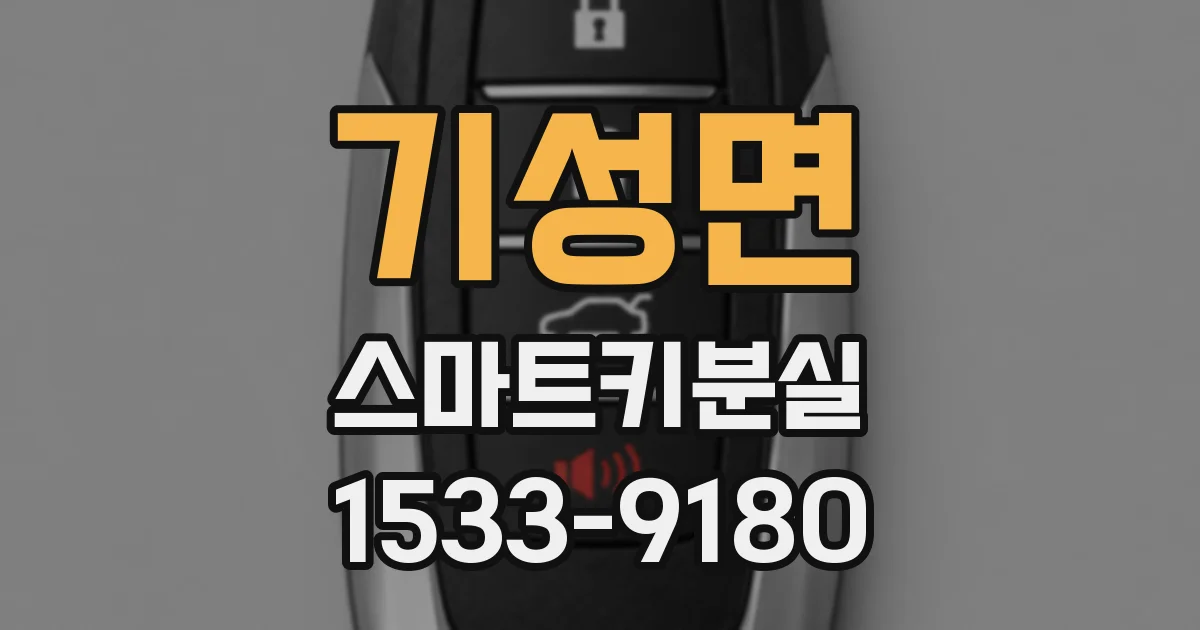 기성면 스마트키분실