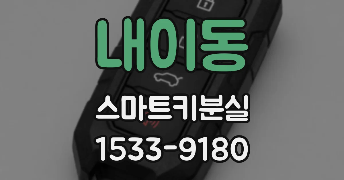내이동 스마트키분실