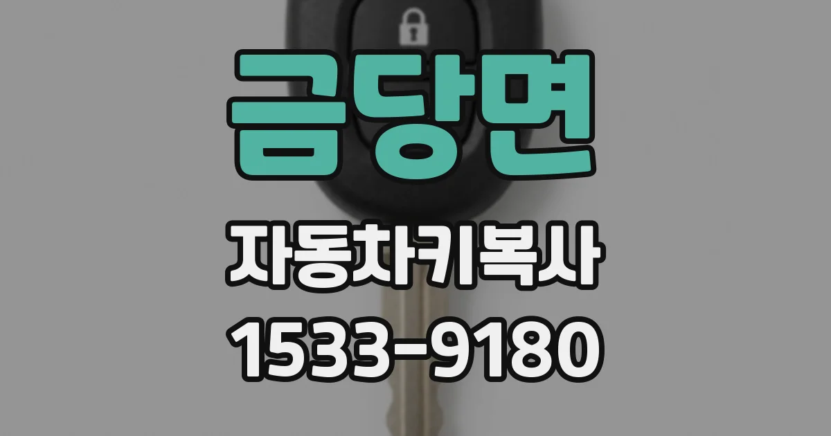금당면 자동차키복사