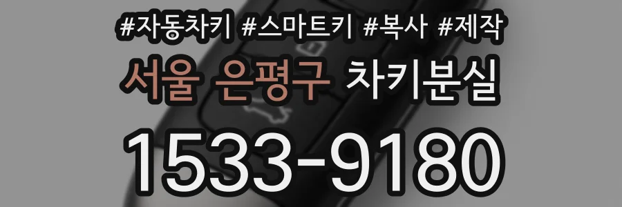 서울 은평구 차키분실