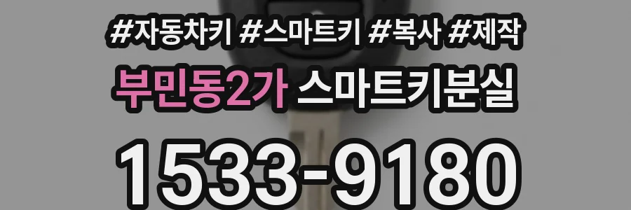 부민동2가 스마트키분실
