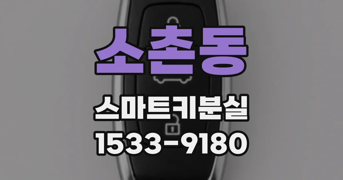 소촌동 스마트키분실
