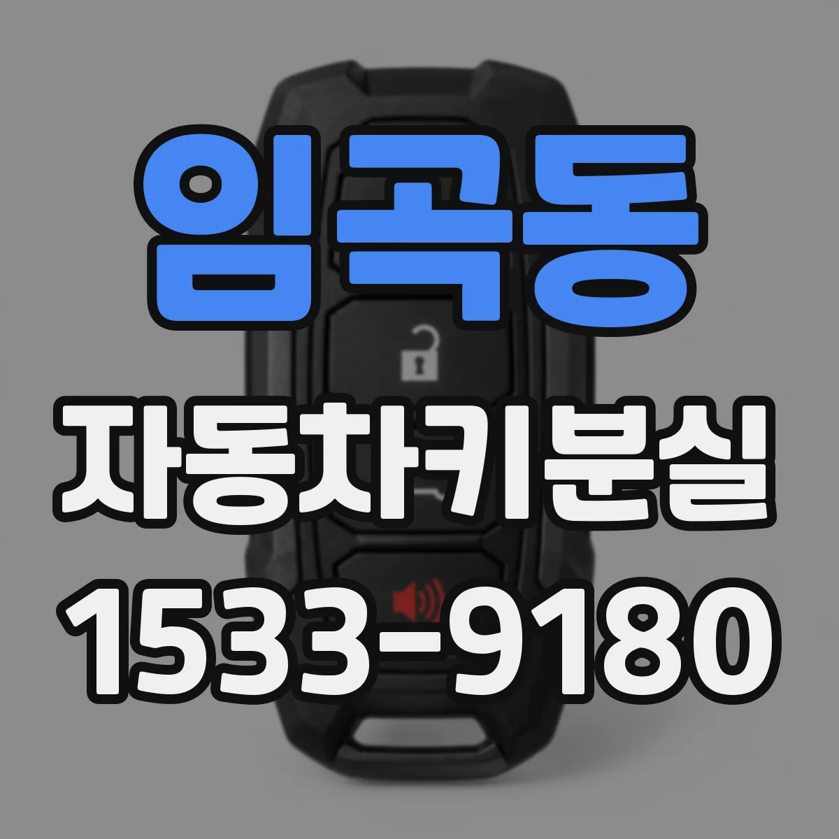 임곡동 자동차키분실