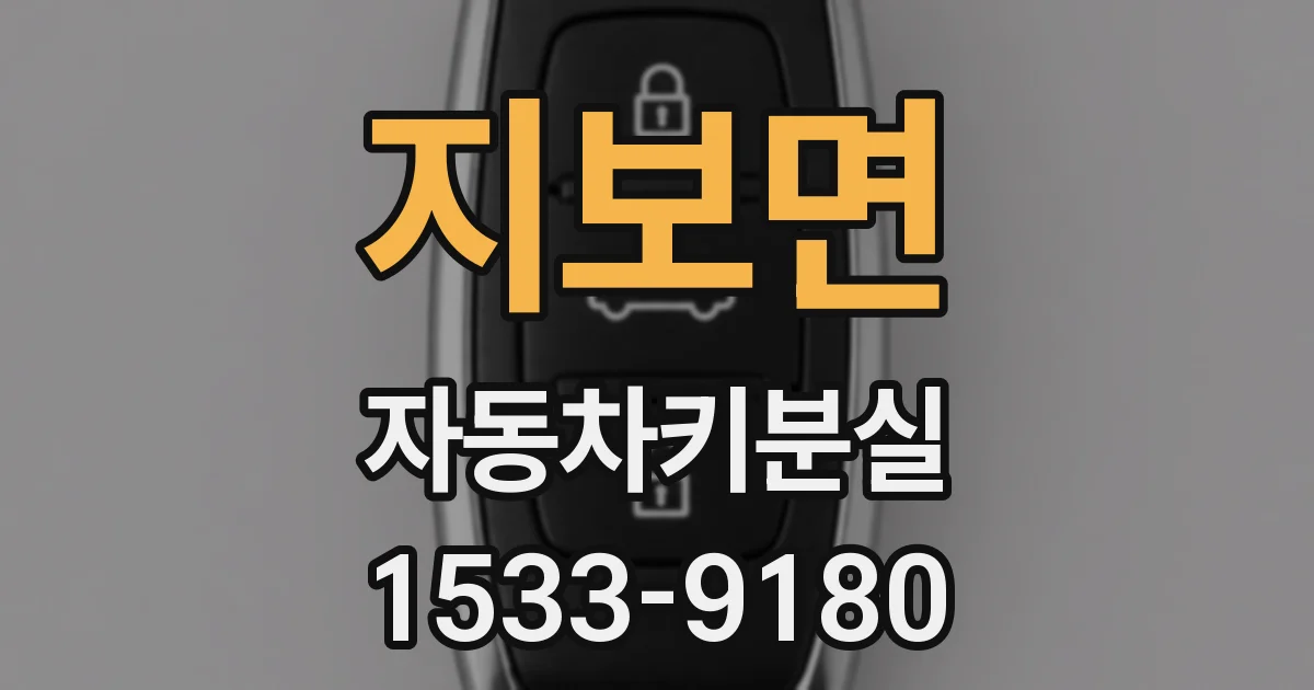 지보면 자동차키분실