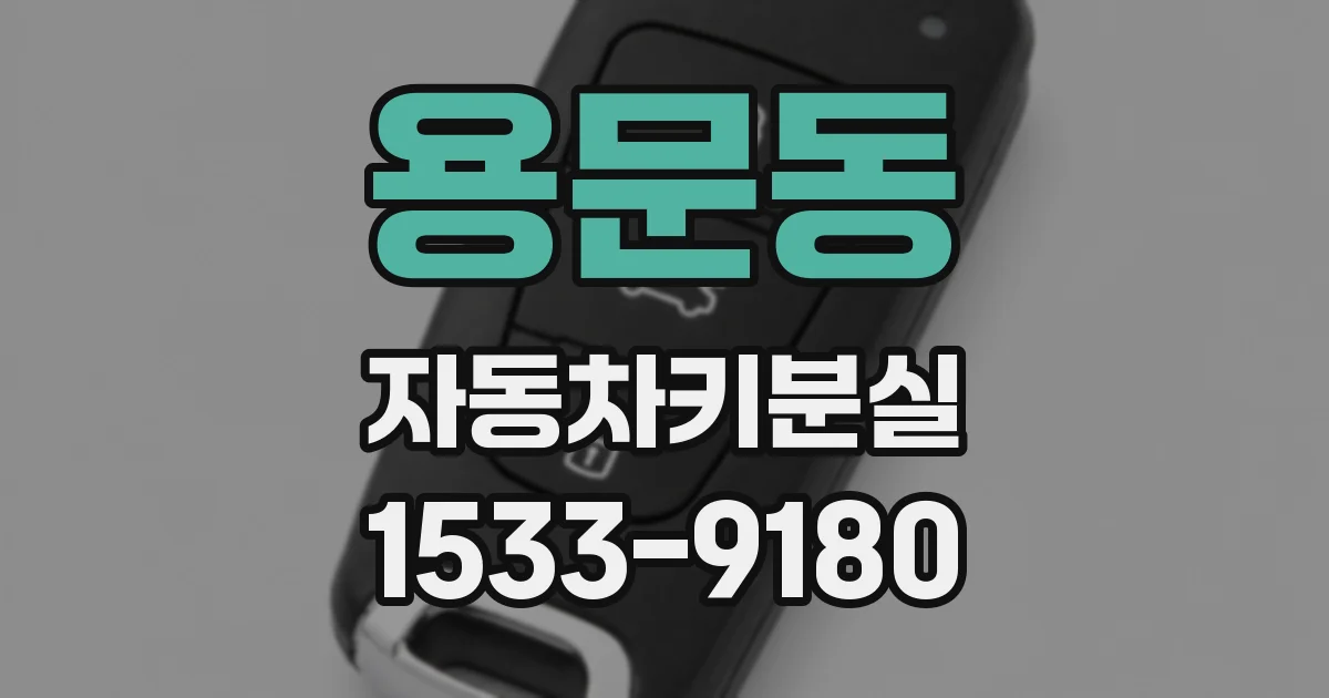 용문동 자동차키분실