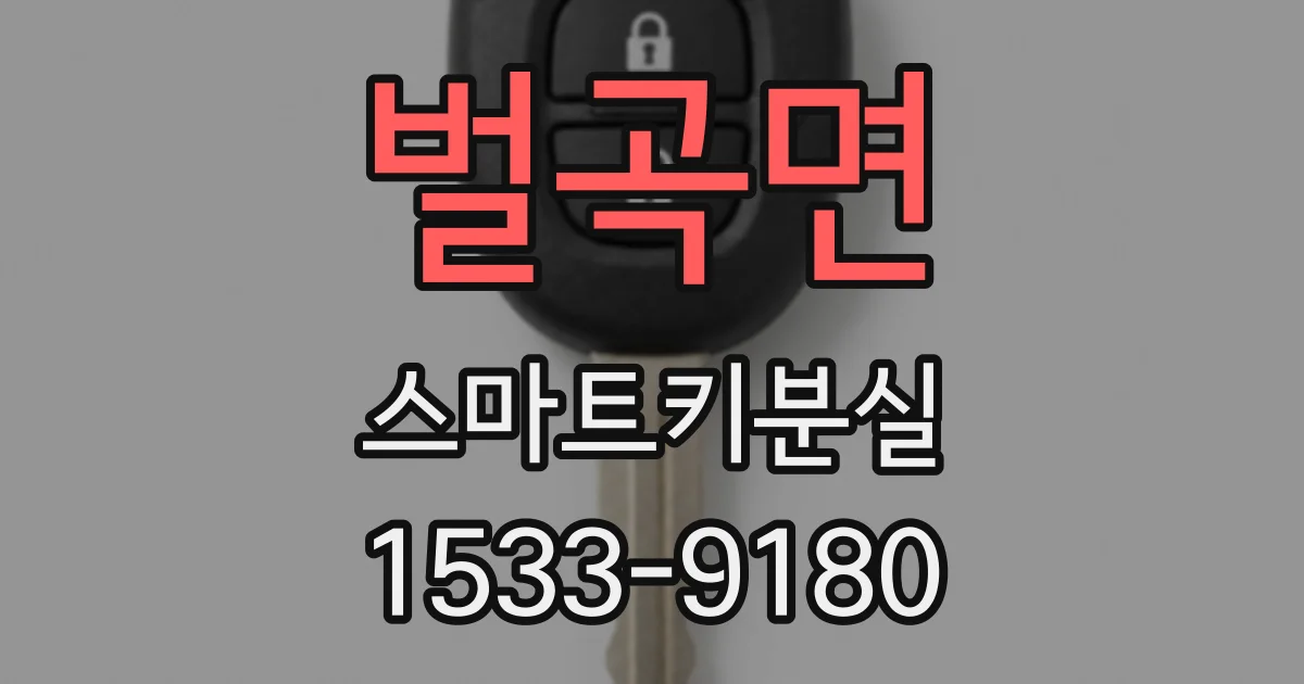 벌곡면 스마트키분실