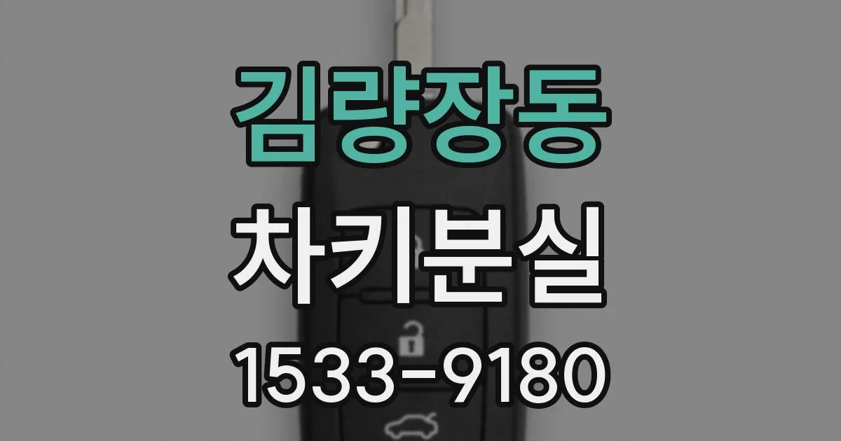김량장동 차키분실