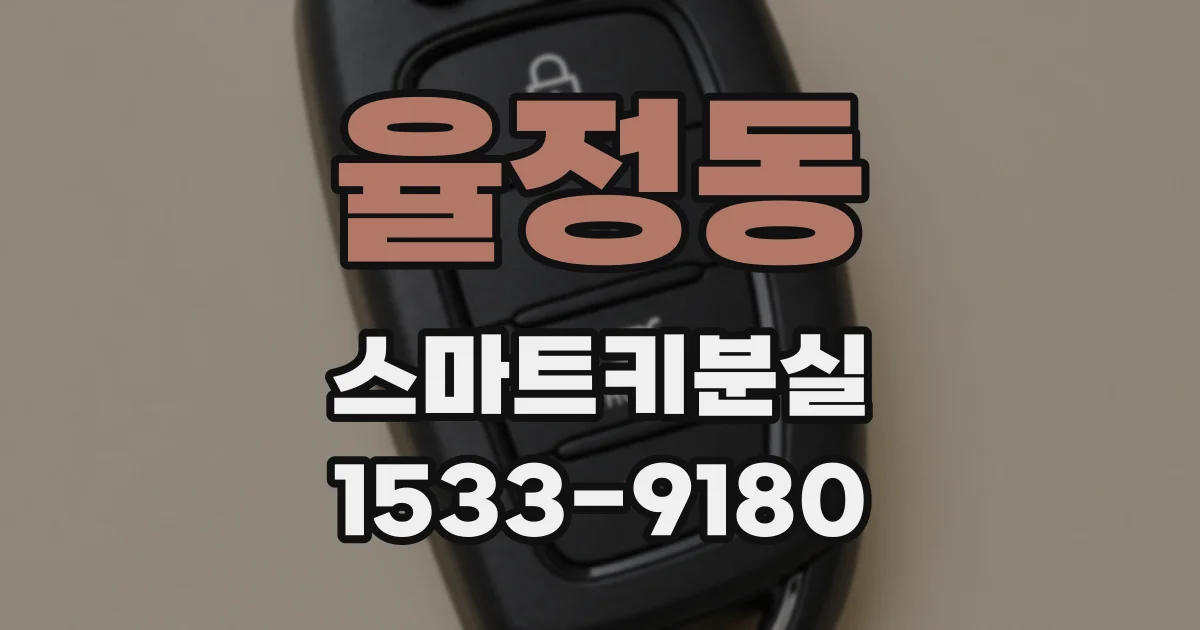 율정동 스마트키분실