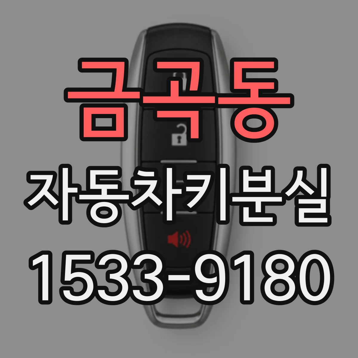 금곡동 자동차키분실