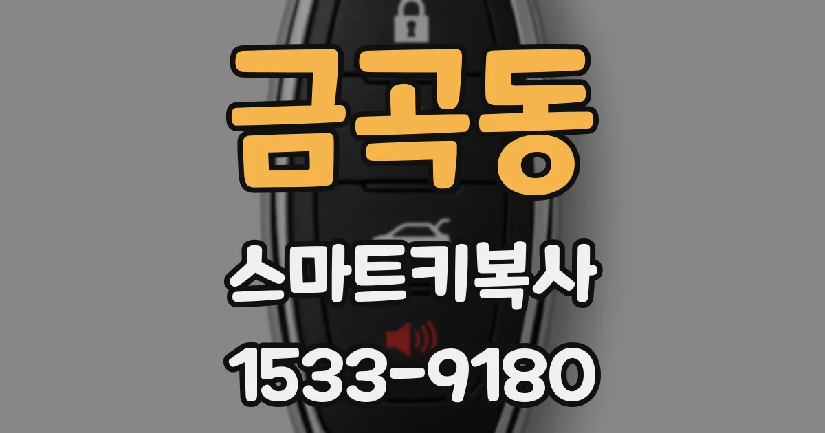 금곡동 스마트키복사