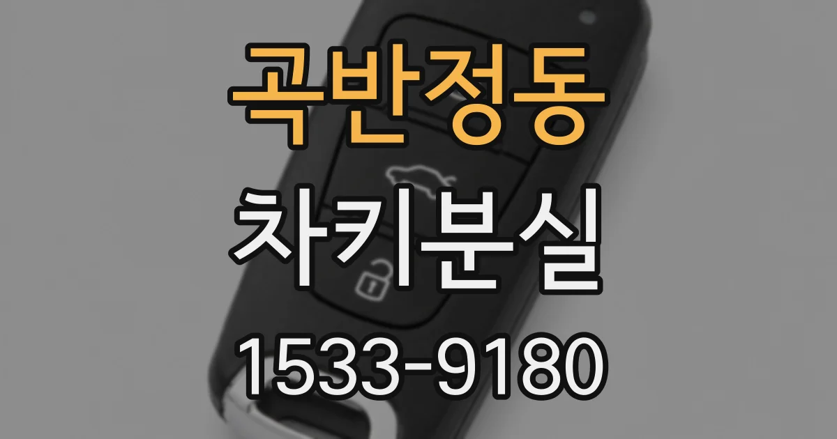 곡반정동 차키분실