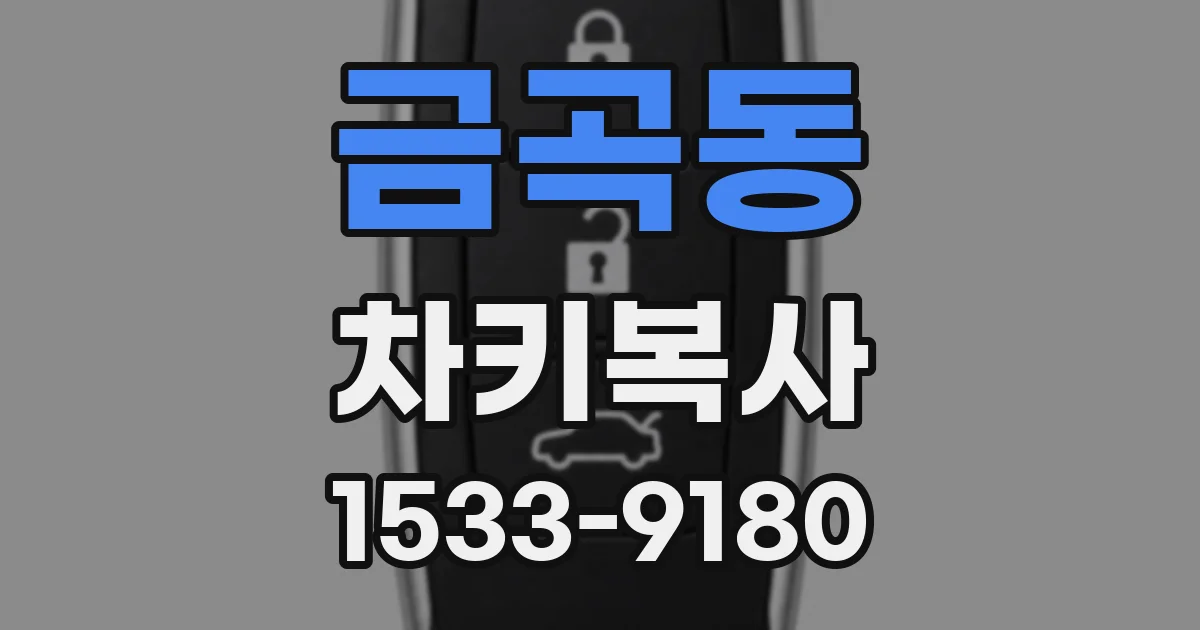 금곡동 차키복사