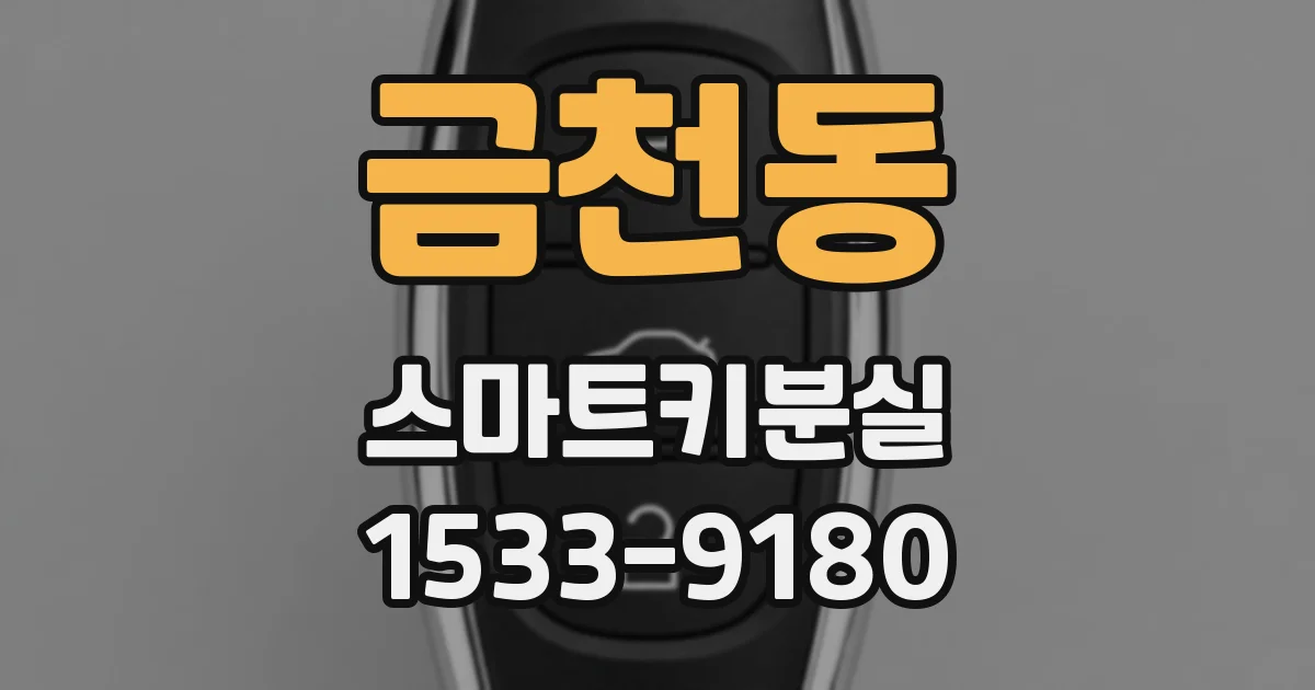금천동 스마트키분실