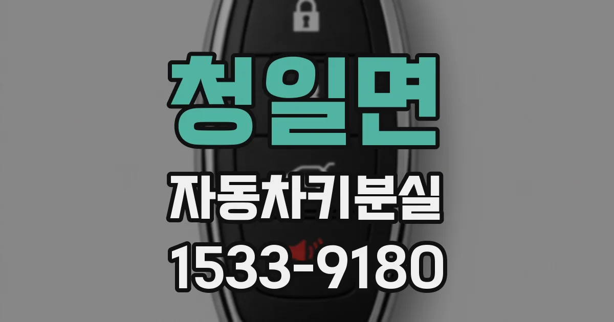 청일면 자동차키분실