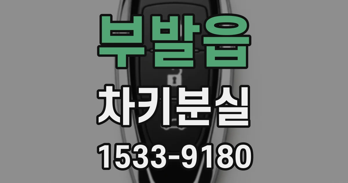 부발읍 차키분실