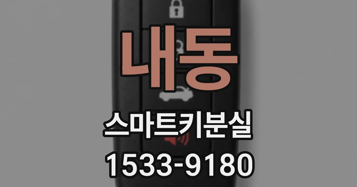 내동 스마트키분실